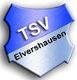 Avatar Bild für TSV Elvershausen