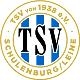 Avatar Bild für TSV Schulenburg