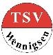 Avatar Bild für TSV Wennigsen