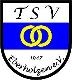 Avatar Bild für TSV Eberholzen