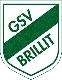 Avatar Bild für GSV Brillit