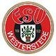 Avatar Bild für FSV Westerstede