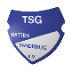 Avatar Bild für TSG Hatten-Sandkrug