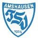 Avatar Bild für TSV Amshausen