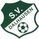 Avatar Bild für SV Dalhausen