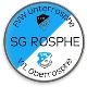 Avatar Bild für SG 1920/30 Rosphe