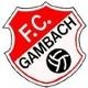 Avatar Bild für FC Gambach