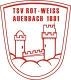 Avatar Bild für TSV Auerbach