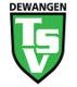 Avatar Bild für TSV Dewangen