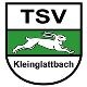 Avatar Bild für TSV Kleinglattbach