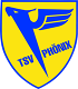 Avatar Bild für TSV Phönix Lomersheim