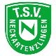 Avatar Bild für TSV Neckartenzlingen