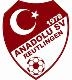 Avatar Bild für Anadolu SV Reutlingen