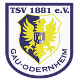 Avatar Bild für TSV 1881 Gau-Odernheim