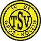 Avatar Bild für TSV 1903 Groß Kölzig