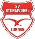 Avatar Bild für SV Sturmvogel Lubmin