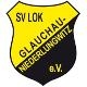 Avatar Bild für SV Lok Glauchau-Niederl.