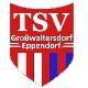 Avatar Bild für TSV Großwaltersdorf/Eppendorf