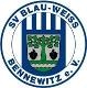 Avatar Bild für SV Blau-Weiss Bennewitz