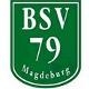 Avatar Bild für BSV 79 Magdeburg