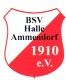 Avatar Bild für BSV Halle-Ammendorf 1910