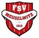 Avatar Bild für FSV Meuselwitz