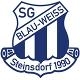 Avatar Bild für SG Blau-Weiß 1990 Steinsdorf