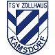 Avatar Bild für TSV Zollhaus