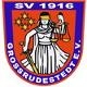 Avatar Bild für SV 1916 Großrudestedt