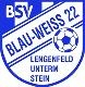 Avatar Bild für BSV BW 22 Lengenfeld/Stein