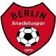 Avatar Bild für Anadoluspor