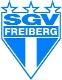 Avatar Bild für SGV Freiberg Fußball