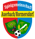 Avatar Bild für SG Auerbach/Hormersdorf