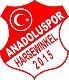 Avatar Bild für Anadoluspor Harsewinkel