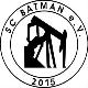 Avatar Bild für SC Batman 2015