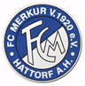 Avatar Bild für FC Merkur Hattorf 1920 e.V.