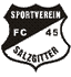 Avatar Bild für FC 45 Salzgitter