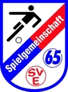 Avatar Bild für SV Wehrstedt v.1965 e.V.