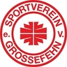 Avatar Bild für SV Grossefehn e.V.