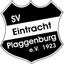 Avatar Bild für SV Eintracht Plaggenburg II