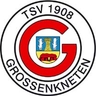 Avatar Bild für TSV Grossenkneten v.1908 e.V.