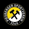 Avatar Bild für Piesberger SV 32 e.V.