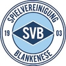 Avatar Bild für Spvg. Blankenese von 1903 e.V.