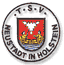 Avatar Bild für TSV Neustadt II (9er)