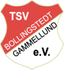 Avatar Bild für TSV Bollingstedt-Gammellund