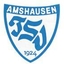 Avatar Bild für SG Amshausen/Halle II