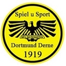 Avatar Bild für SPIEL-U.SPORT DERNE 1919 E.V.