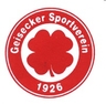 Avatar Bild für GEISECKER SPORTVEREIN 1926 E.V.