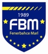 Avatar Bild für FENERBAHCE ISTANBUL E.V.MARL