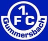 Avatar Bild für 1.FC GUMMERSBACH E.V.